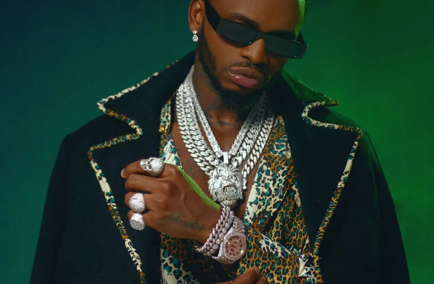 Sur les traces de Diamond Platnumz : l’ascension d’une icône.